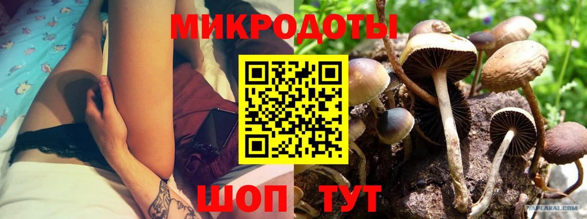 Мытищи  Псилоцибиновые грибы Magic Shrooms  Вход с VPN  даркнет сайт  Псилоцибиновые грибы Psilocybe 